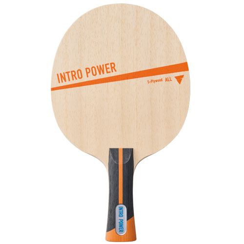 イントロパワー